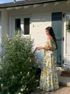 Brynn Printed Maxi Dress